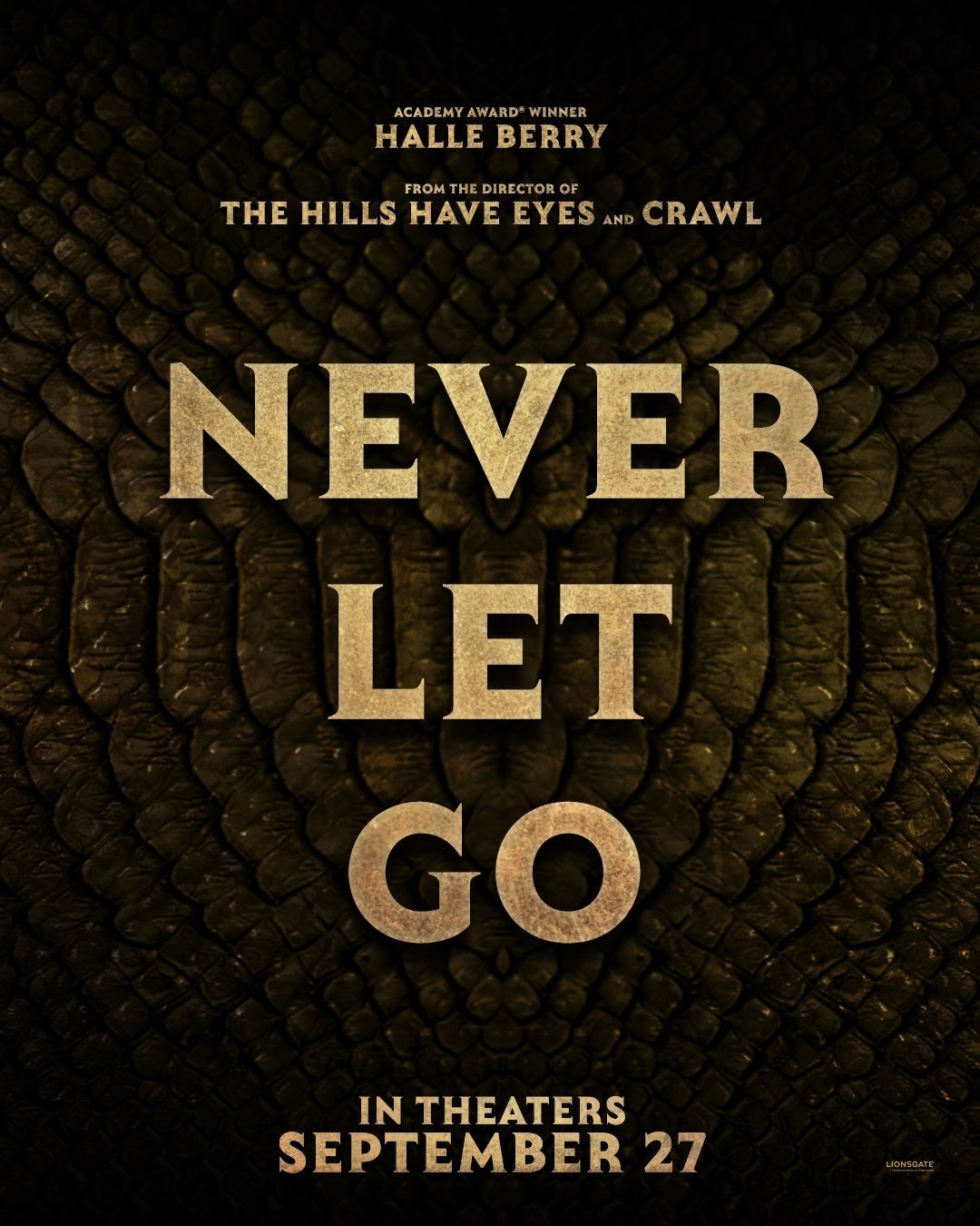 Extra Large Movie Poster Image for Never Let Go 
