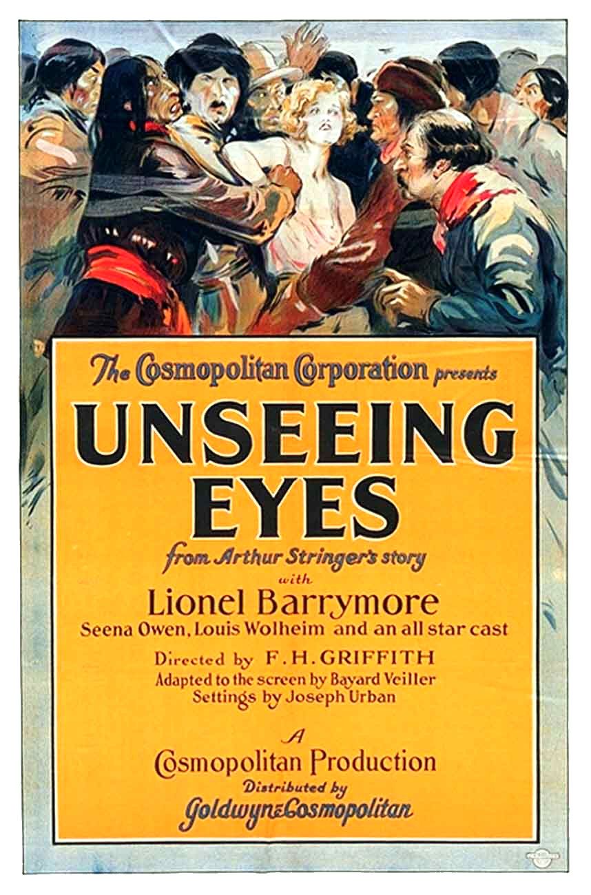 Extra Large Movie Poster Image for Unseeing Eyes (#2 of 2)