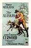 The Alaskan (1924) Thumbnail