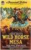Wild Horse Mesa (1925) Thumbnail