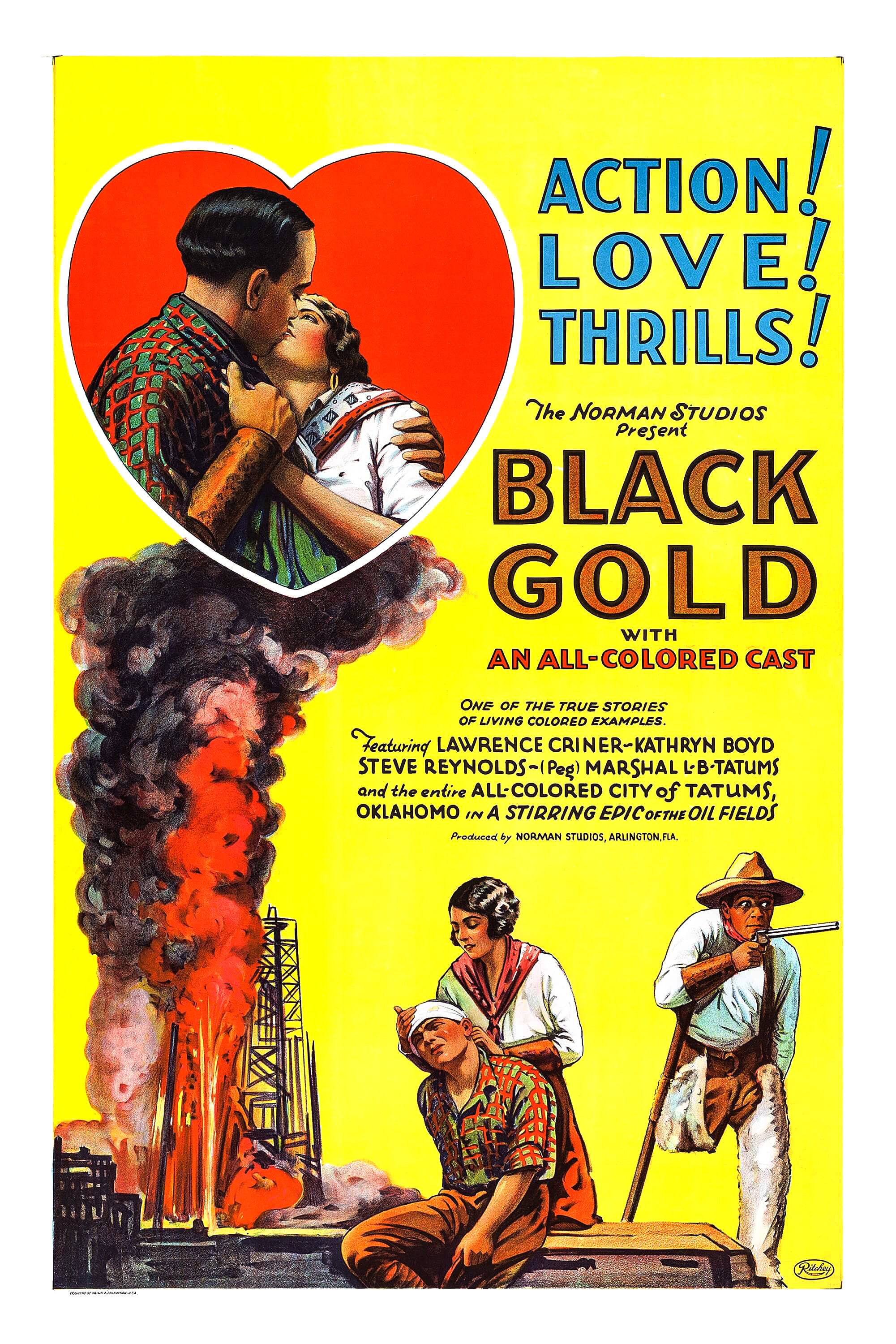 Mega Sized Movie Poster Image for Black Gold (#1 of 2)