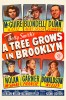 A Tree Grows in Brooklyn (1945) Thumbnail