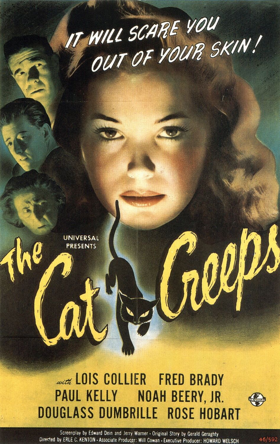 Extra Large Movie Poster Image for The Cat Creeps 
