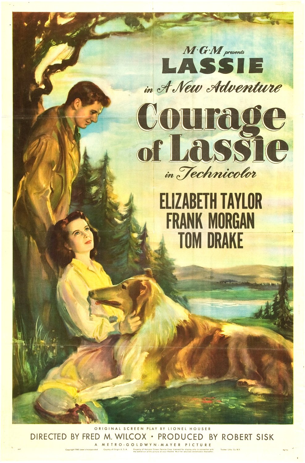 Extra Large Movie Poster Image for Courage of Lassie (#2 of 2)