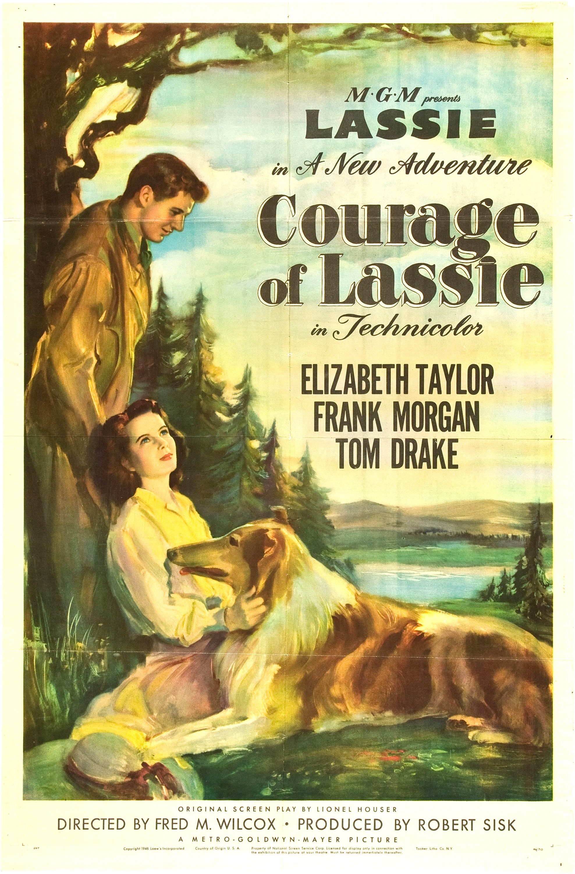 Mega Sized Movie Poster Image for Courage of Lassie (#2 of 2)