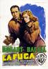 Dark Passage (1947) Thumbnail