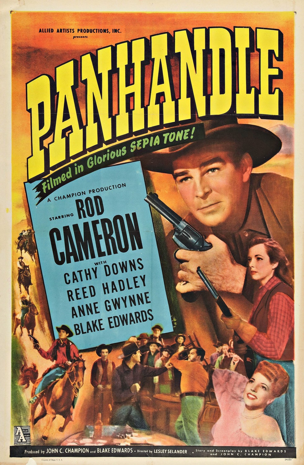 Extra Large Movie Poster Image for Panhandle 
