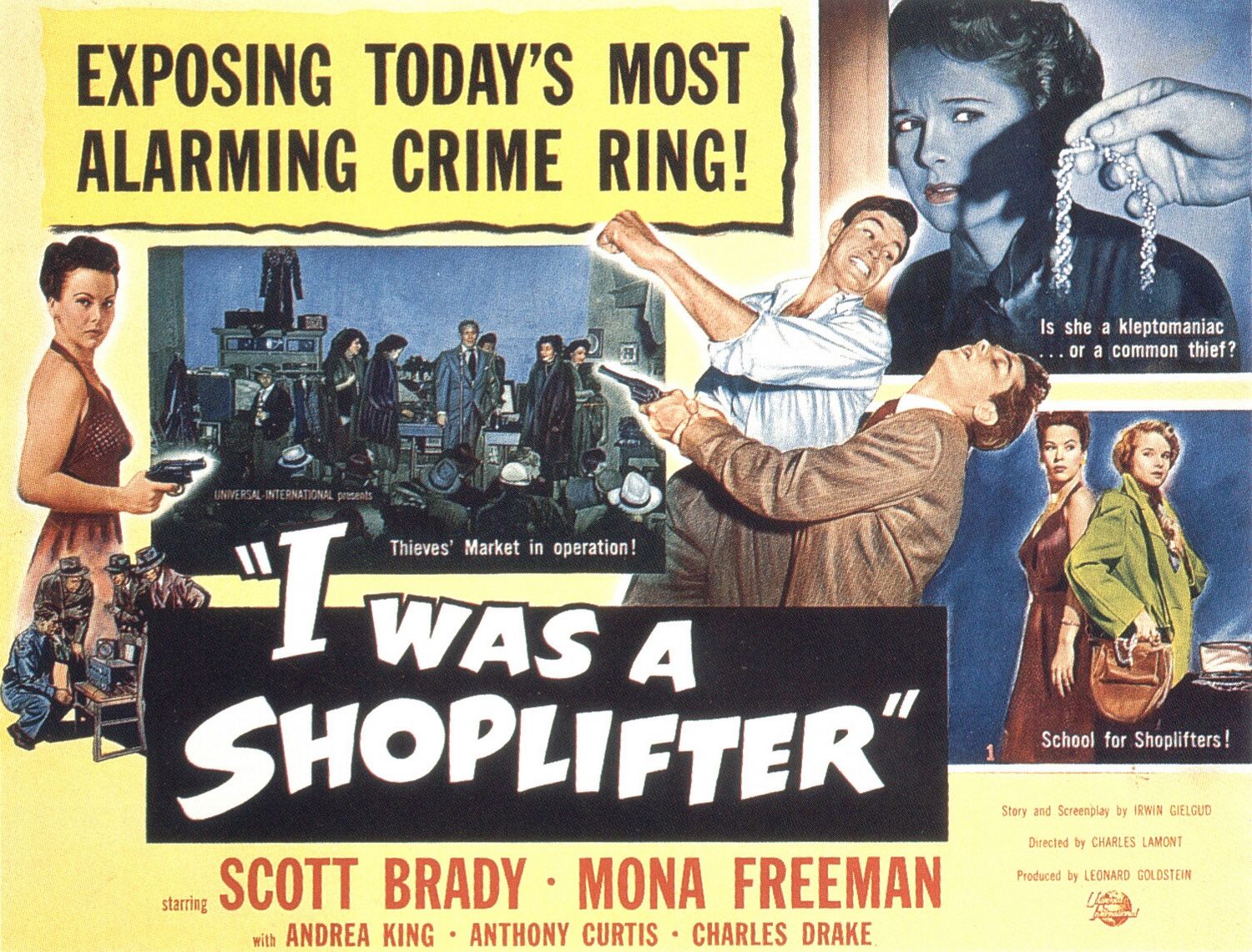 Extra Large Movie Poster Image for I Was a Shoplifter 