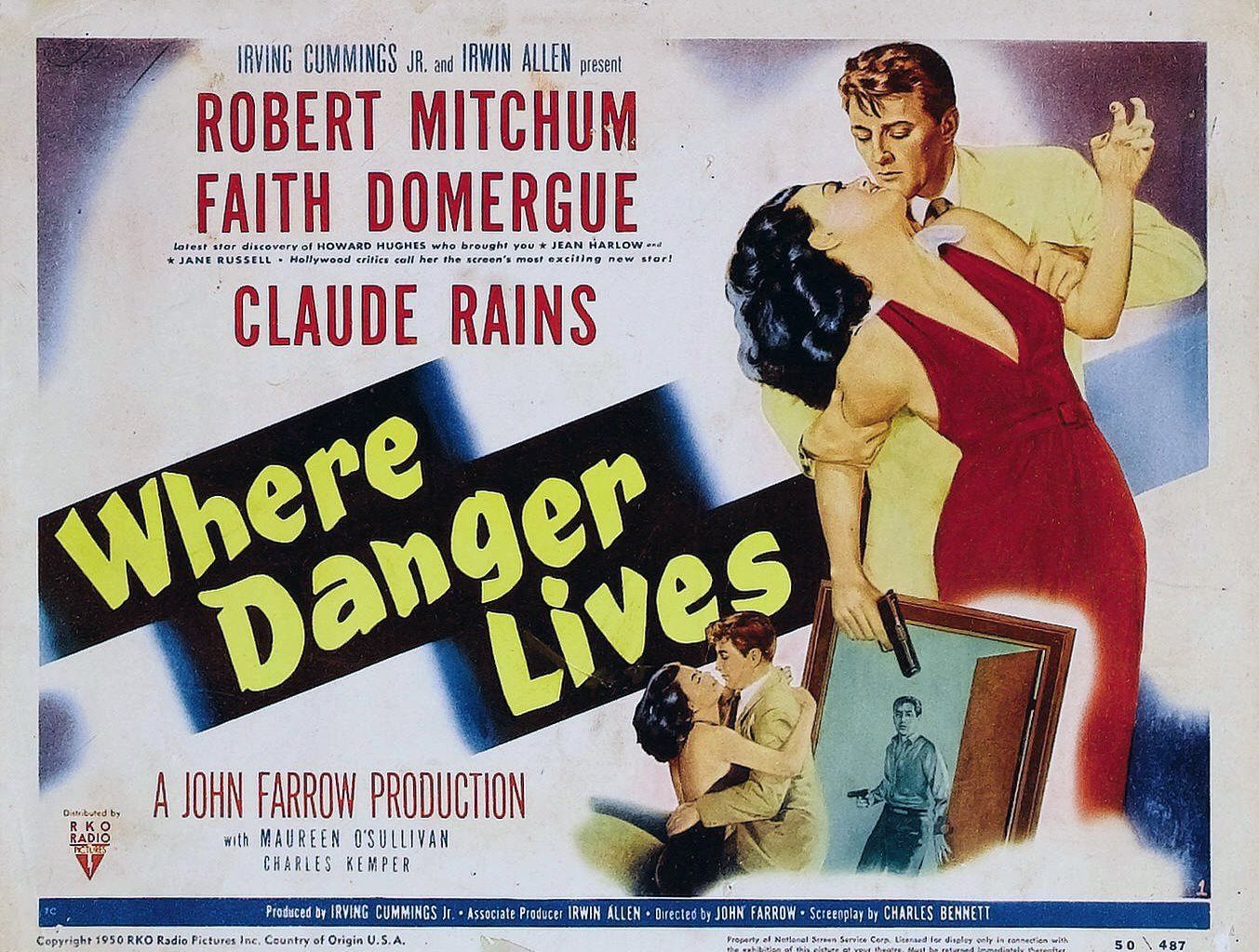 Extra Large Movie Poster Image for Where Danger Lives (#4 of 4)