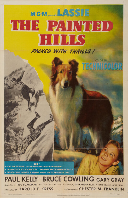 The Painted Hills Movie Poster
