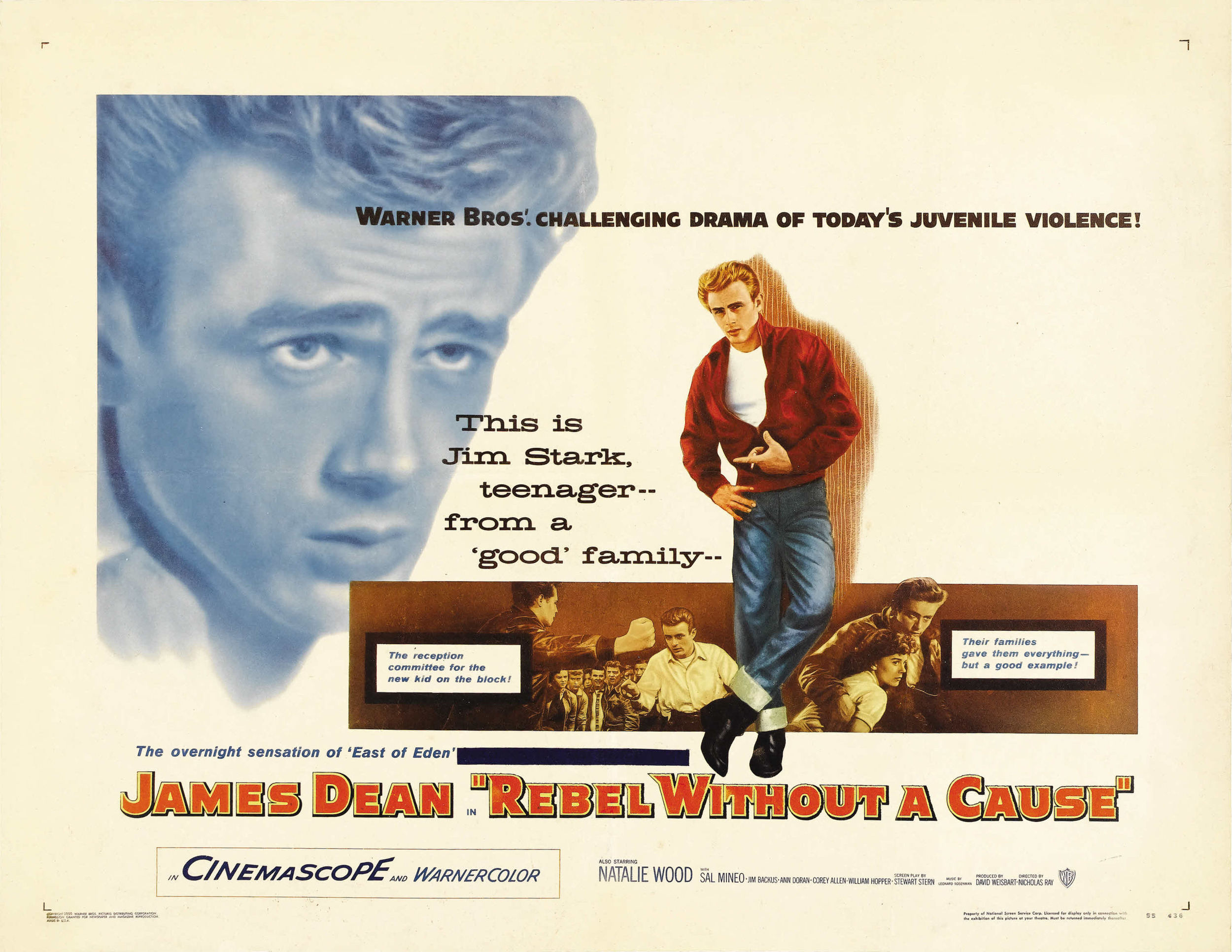 Mega Sized Movie Poster Image for Rebel Without a Cause (#8 of 15)