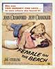 Female on the Beach (1955) Thumbnail