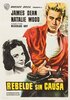 Rebel Without a Cause (1955) Thumbnail