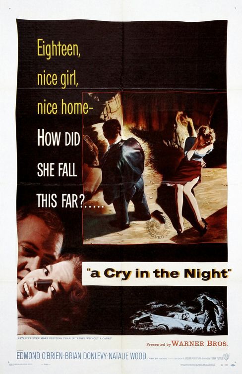 A Cry in the Night Movie Poster