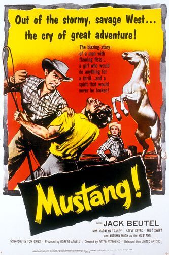 Mustang! Movie Poster