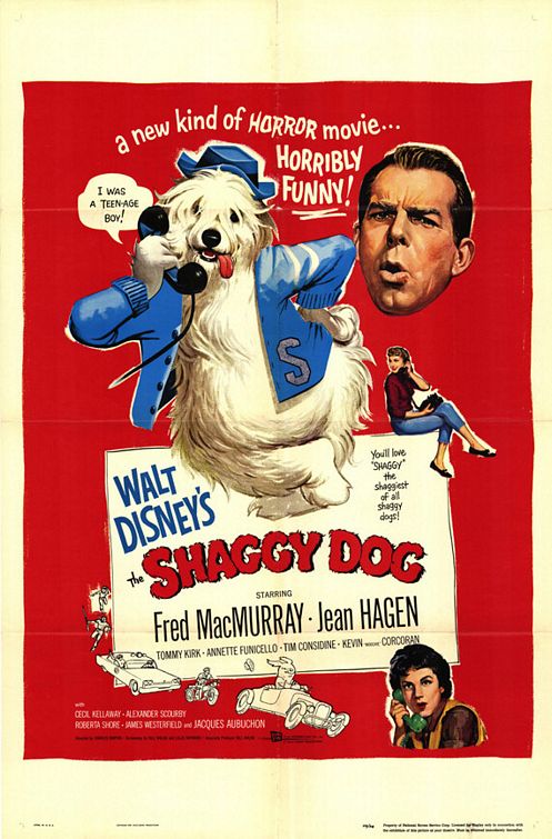 The Shaggy Dog Movie Poster