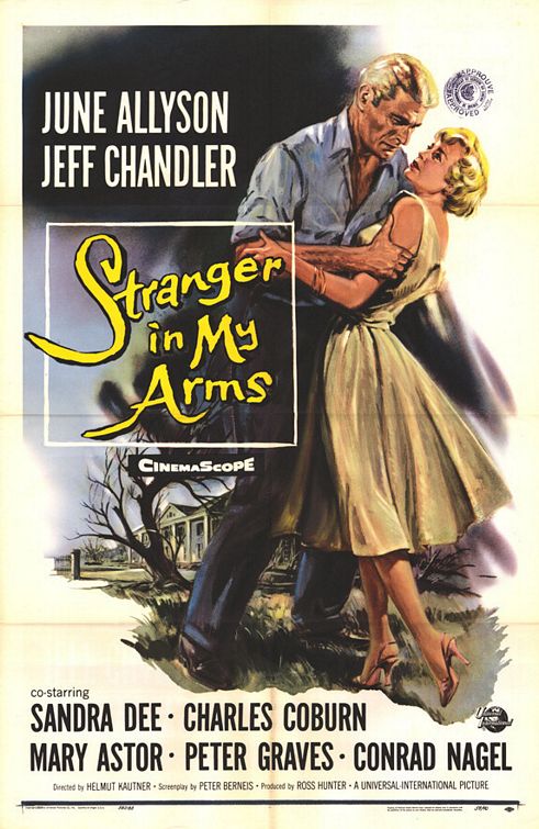 A Stranger in My Arms Movie Poster