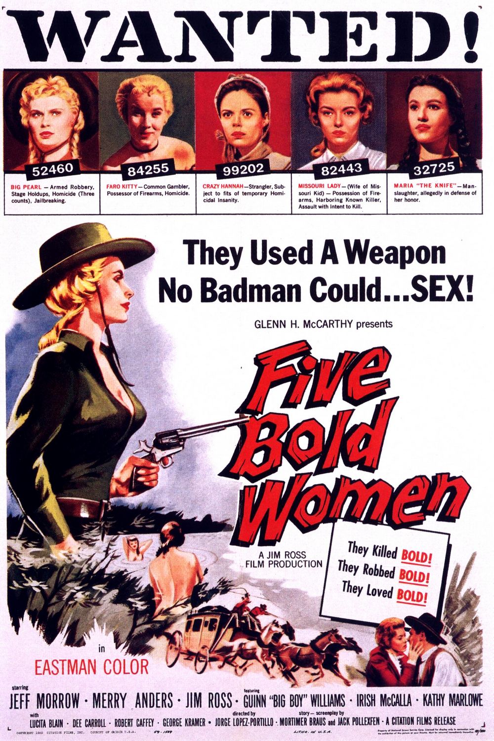 Five Bold Women Movie Poster picture