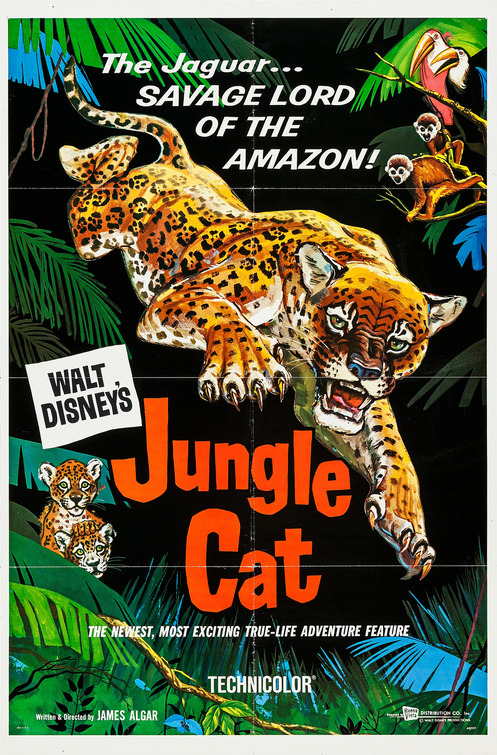 Jungle Cat Movie Poster