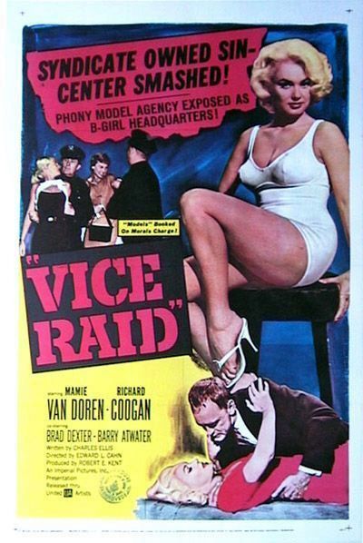 Vice Raid Movie Poster