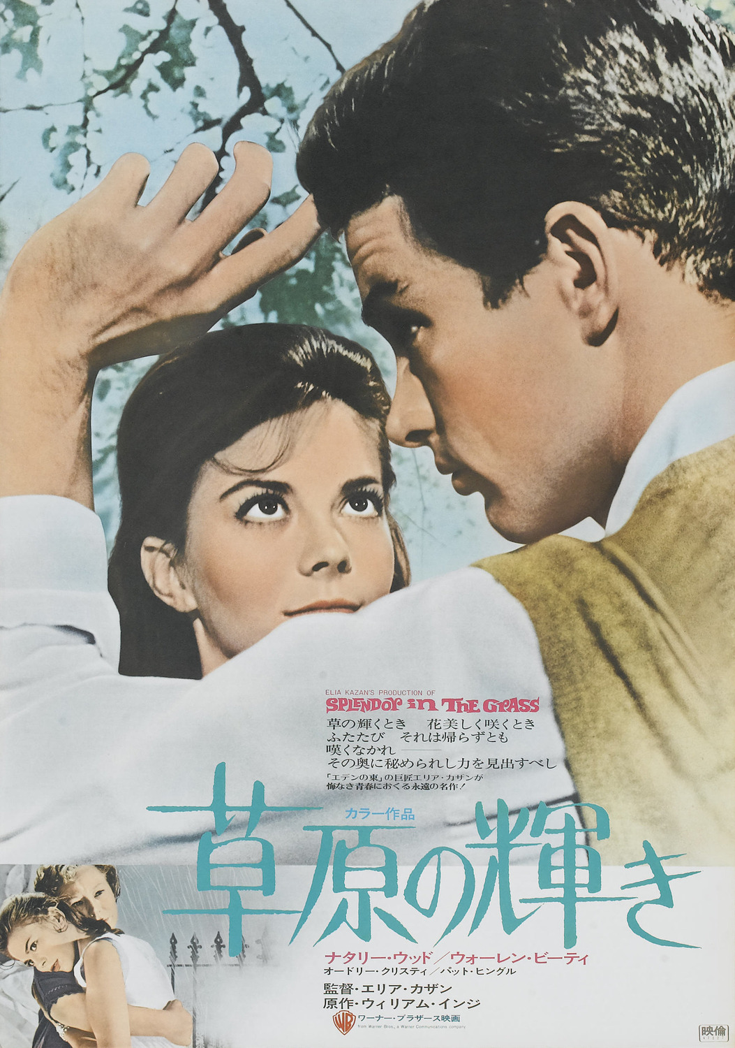 Extra Large Movie Poster Image for Splendor in the Grass (#2 of 4)