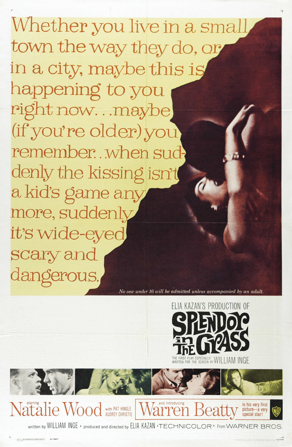 Extra Large Movie Poster Image for Splendor in the Grass (#1 of 4)