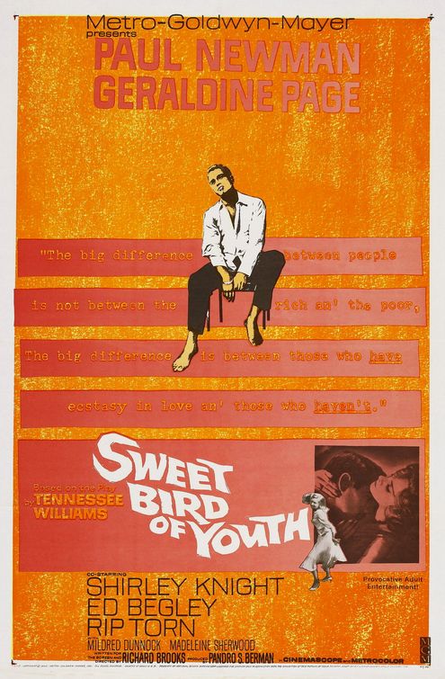 Sweet Bird of Youth Movie Poster