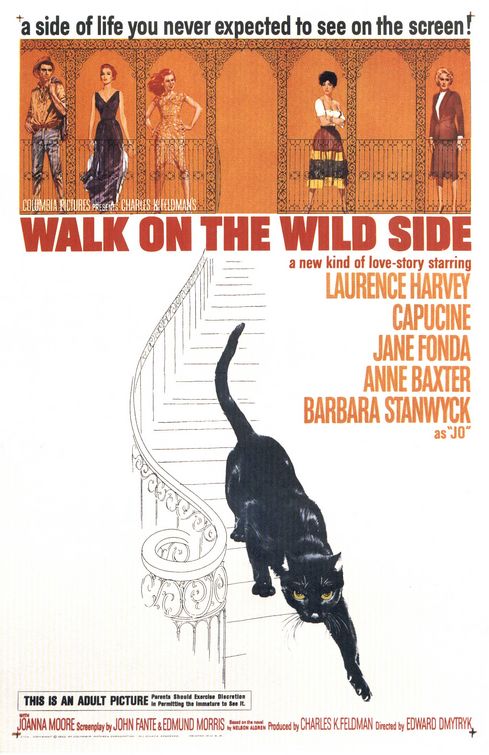 Walk on the Wild Side Movie Poster