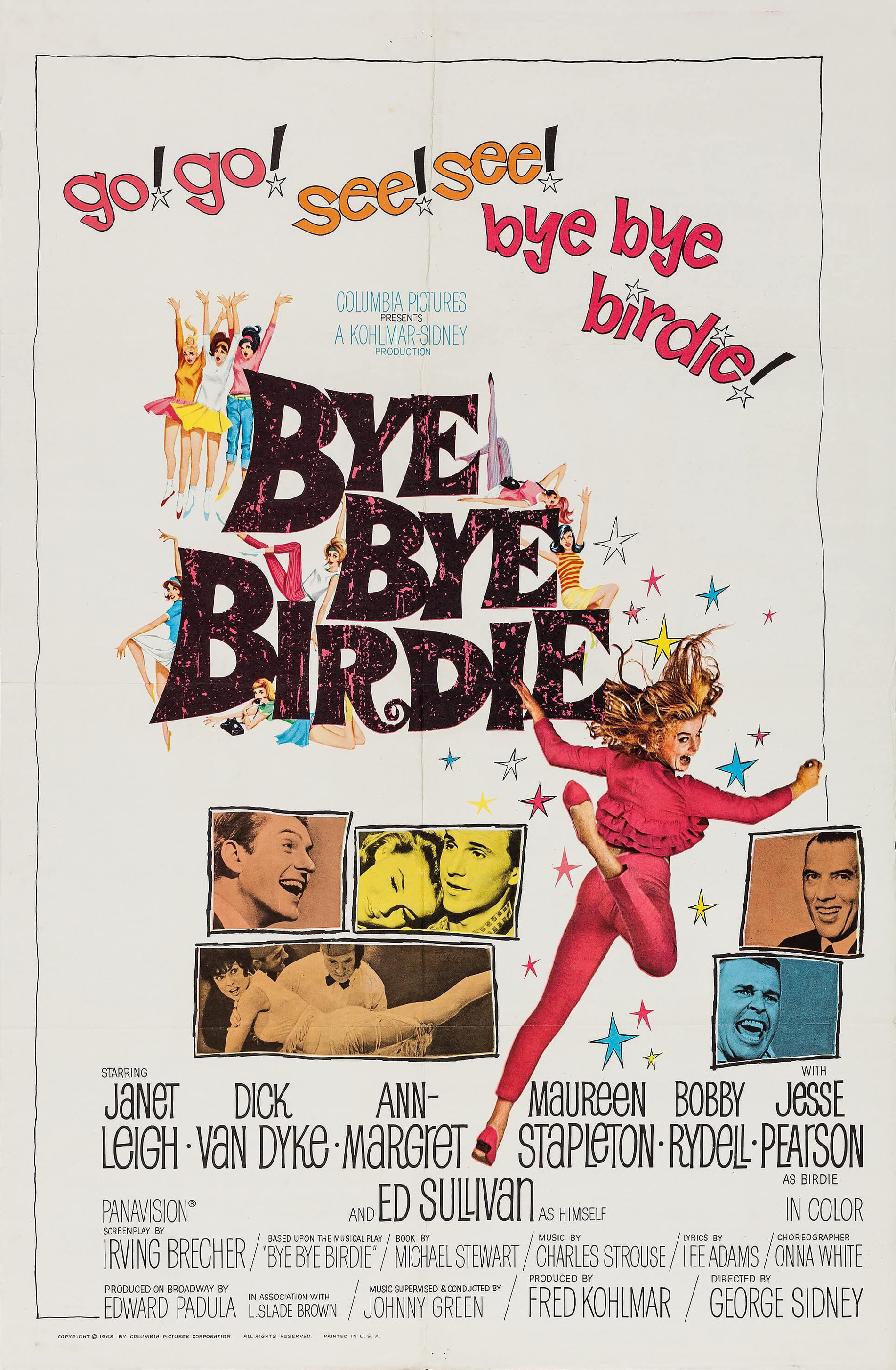 Mega Sized Movie Poster Image for Bye Bye Birdie (#1 of 2)
