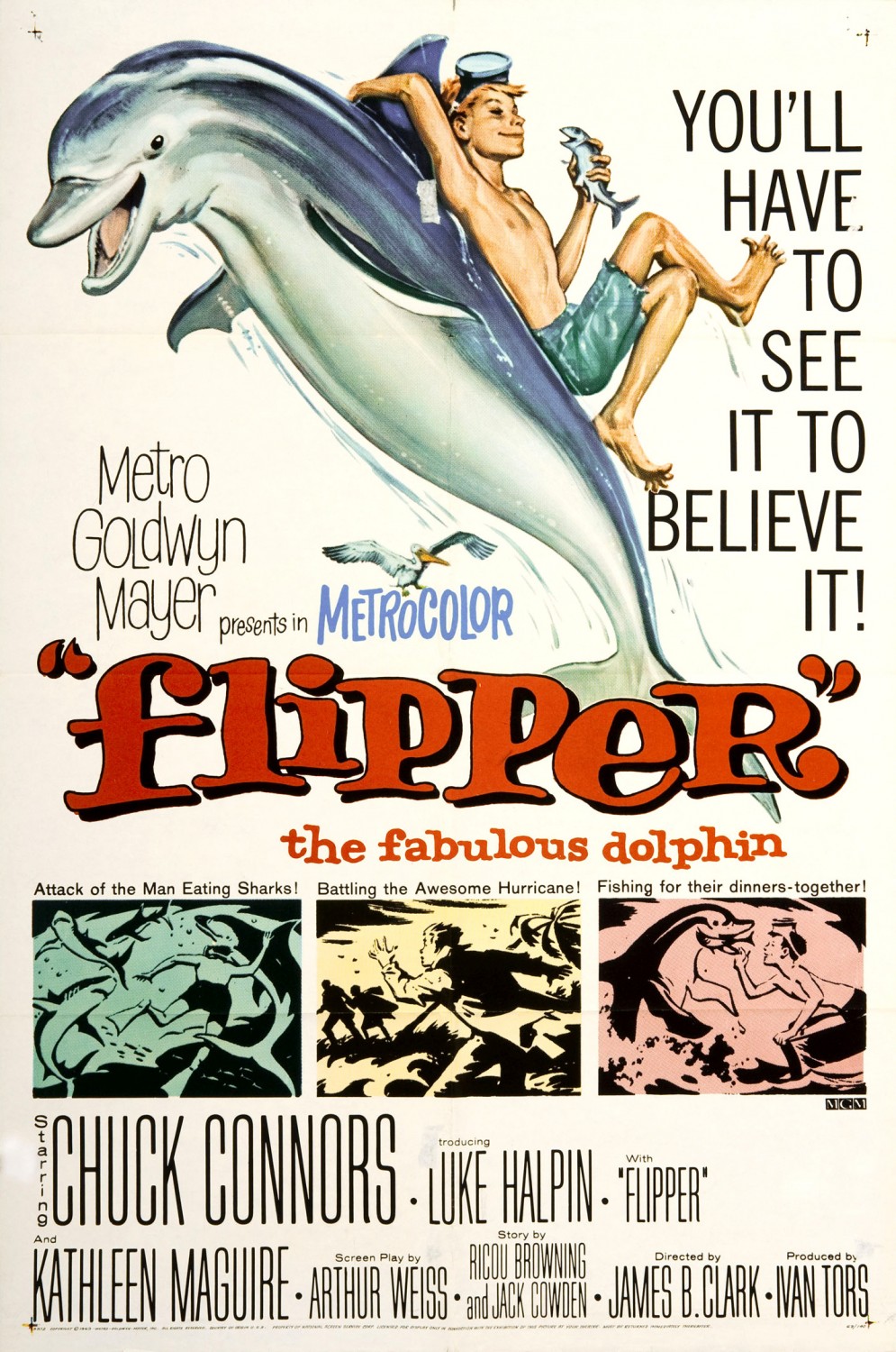 Extra Large Movie Poster Image for Flipper 