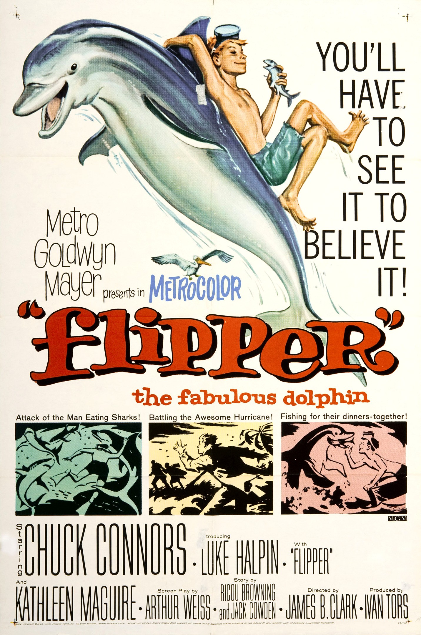 Mega Sized Movie Poster Image for Flipper 