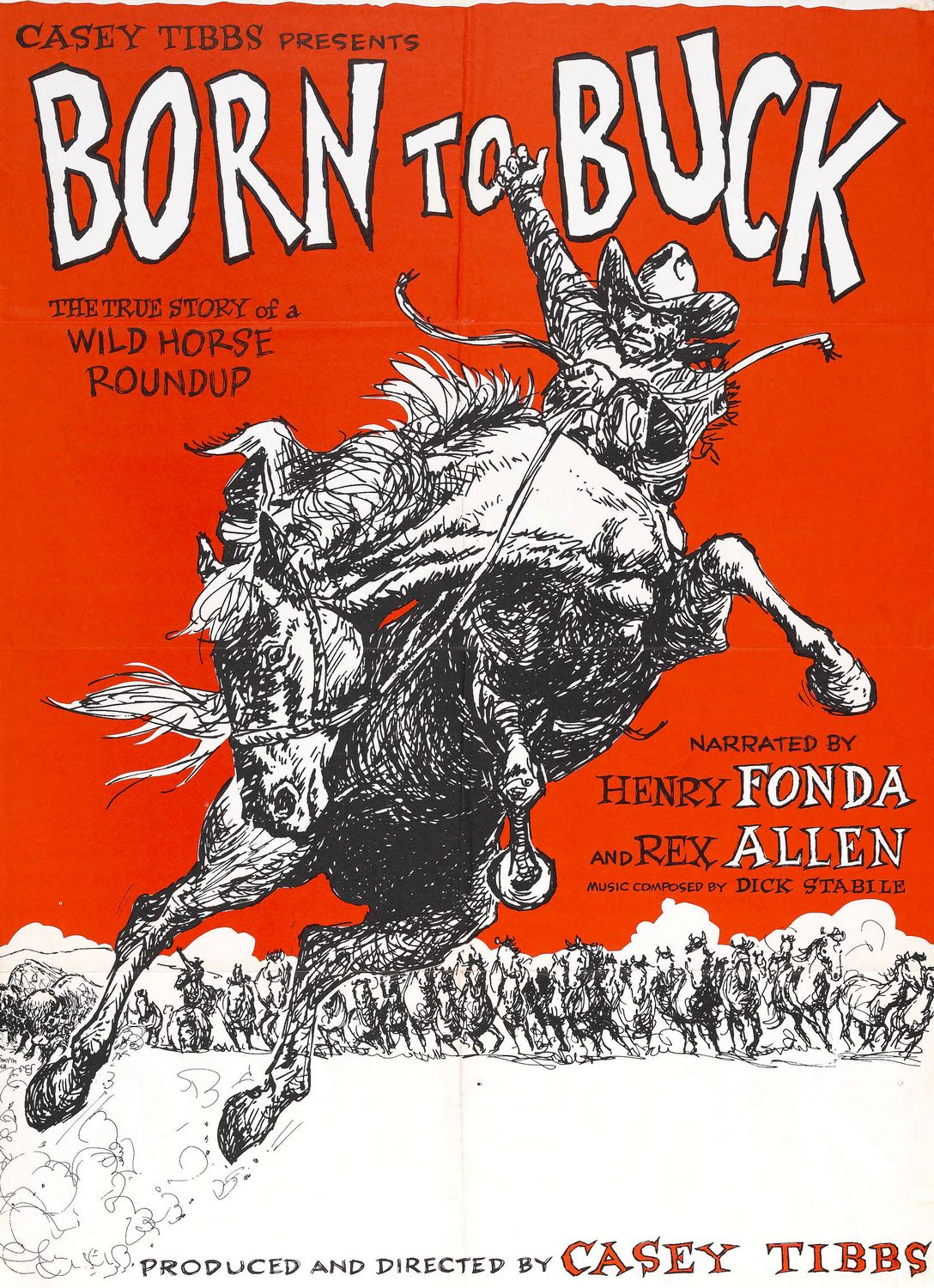 Extra Large Movie Poster Image for Born to Buck 