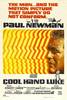 Cool Hand Luke (1967) Thumbnail