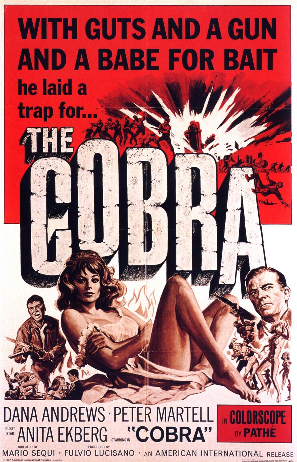 Extra Large Movie Poster Image for The Cobra 