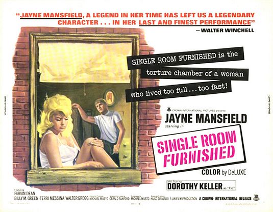 Single Room Furnished Movie Poster