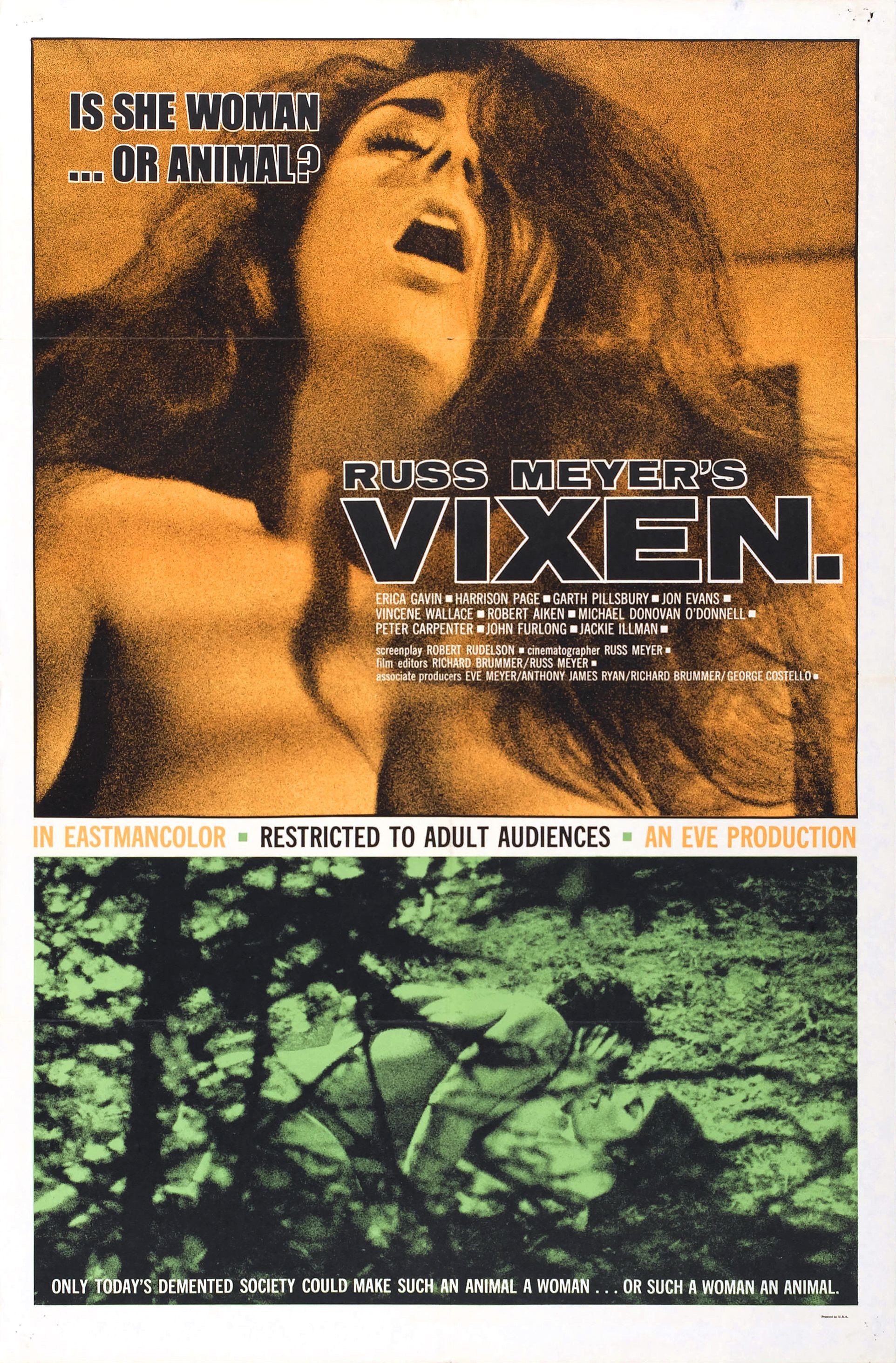 Mega Sized Movie Poster Image for Vixen! 