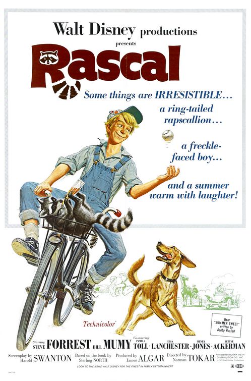 Rascal Movie Poster