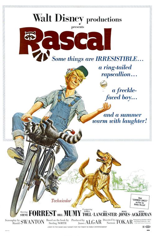 Rascal Movie Poster