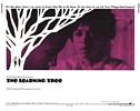 The Learning Tree (1969) Thumbnail