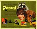 Rascal (1969) Thumbnail