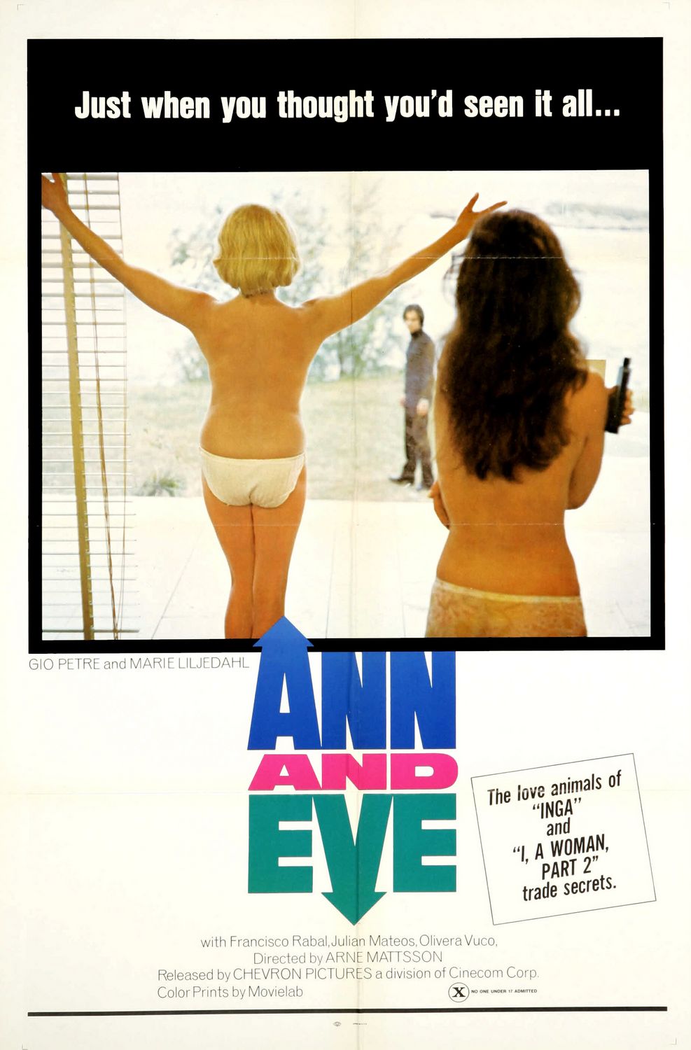 Extra Large Movie Poster Image for Ann and Eve 