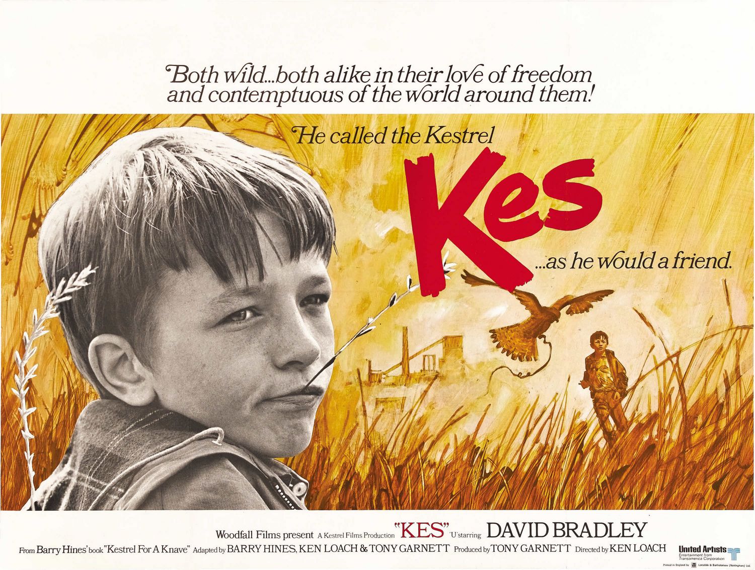 Extra Large Movie Poster Image for Kes (#2 of 2)