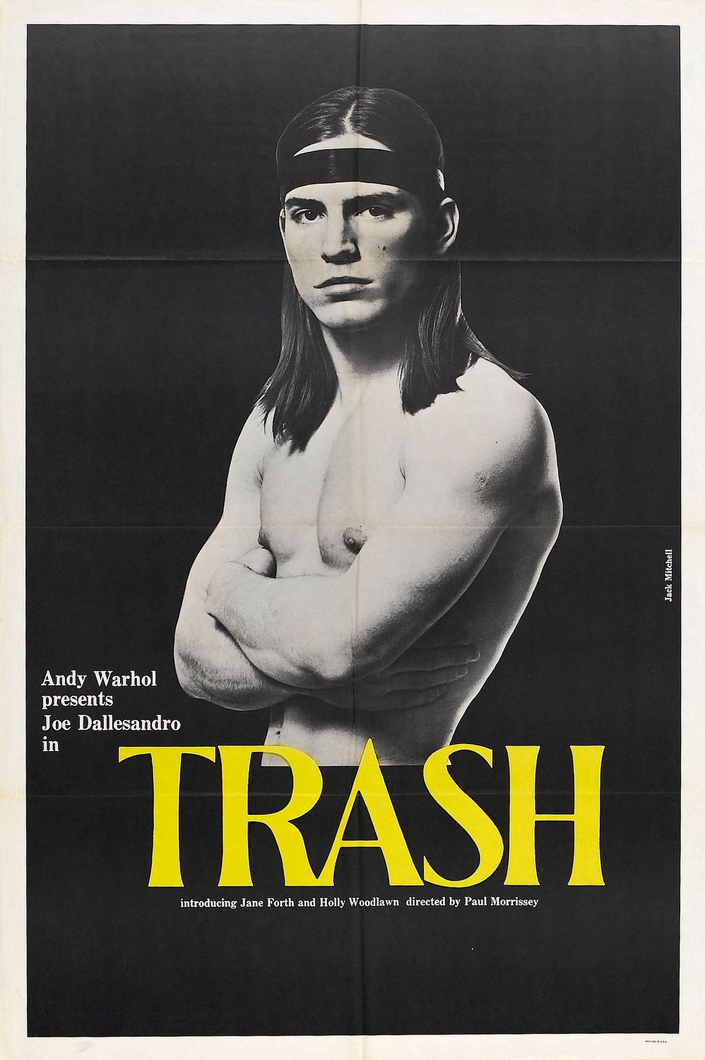 Extra Large Movie Poster Image for Trash 