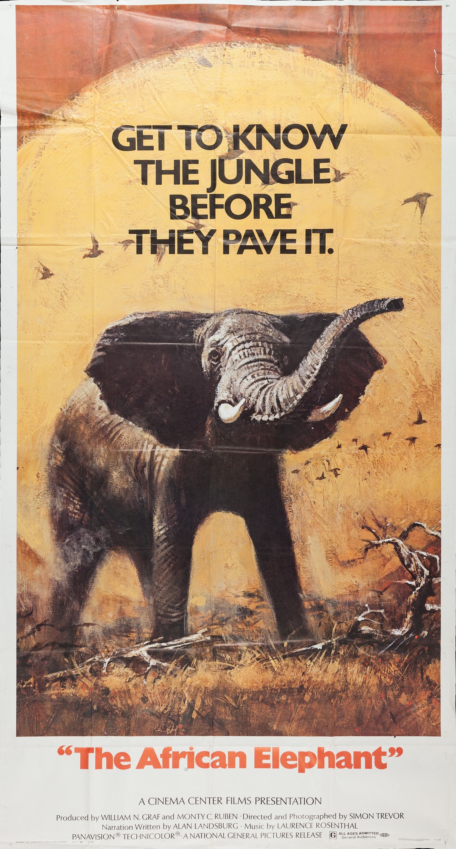 Mega Sized Movie Poster Image for The African Elephant 