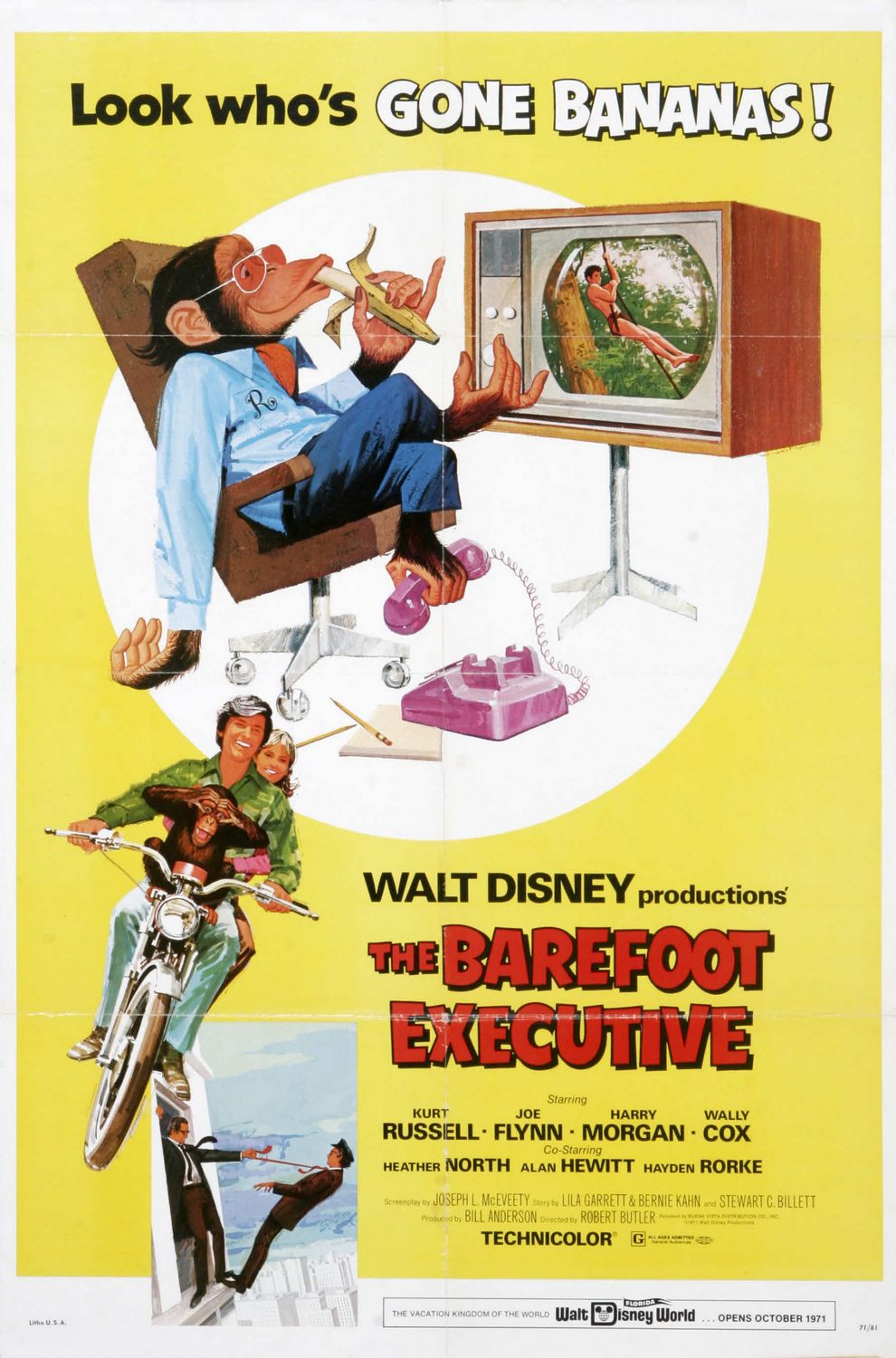 Extra Large Movie Poster Image for The Barefoot Executive 