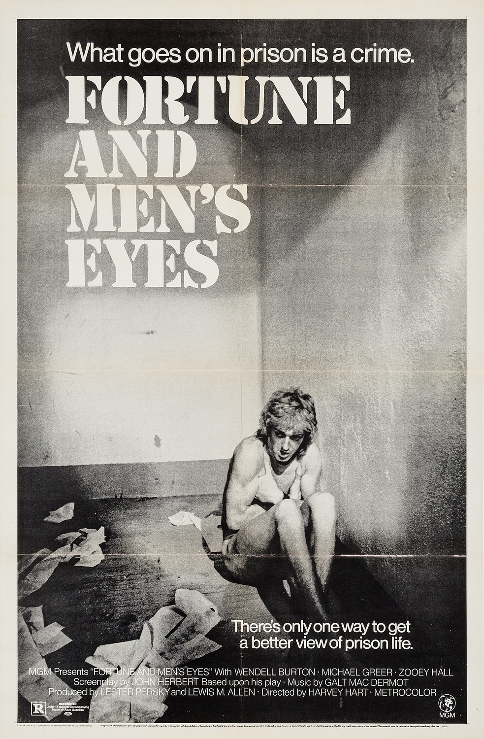 Extra Large Movie Poster Image for Fortune and Men's Eyes (#1 of 2)