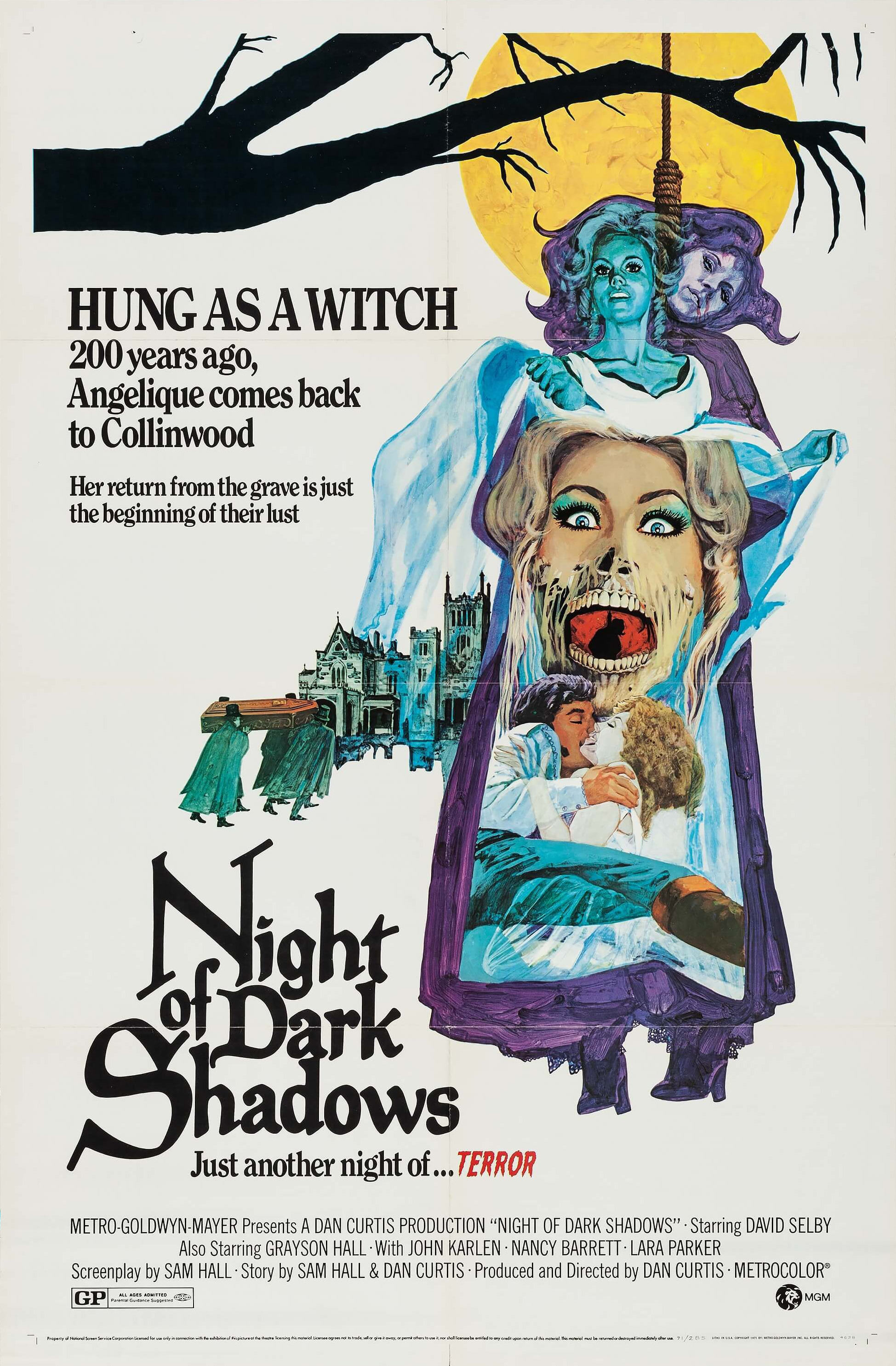 Mega Sized Movie Poster Image for Night of Dark Shadows 