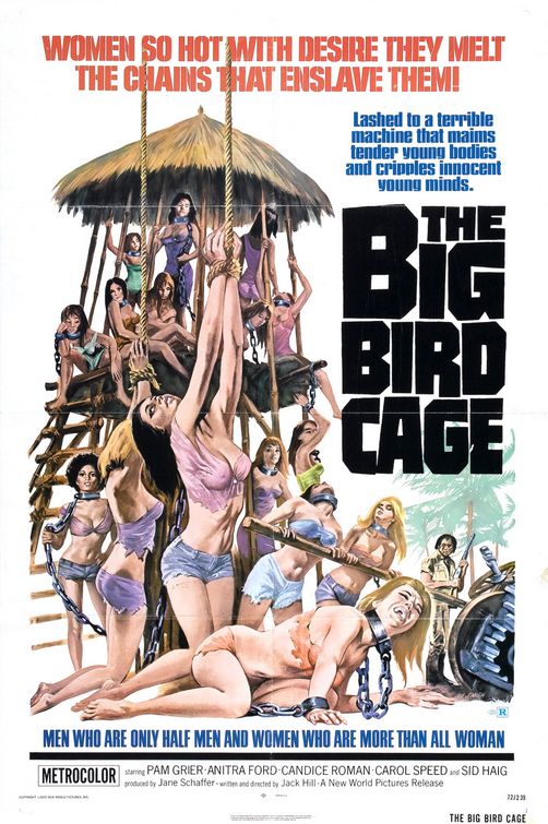 The Big Bird Cage Movie Poster