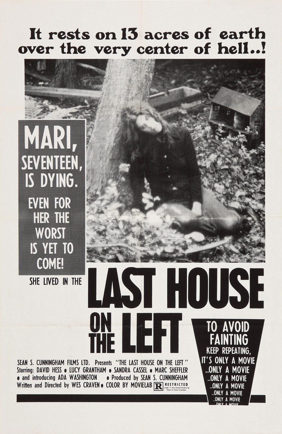 Extra Large Movie Poster Image for The Last House on the Left 
