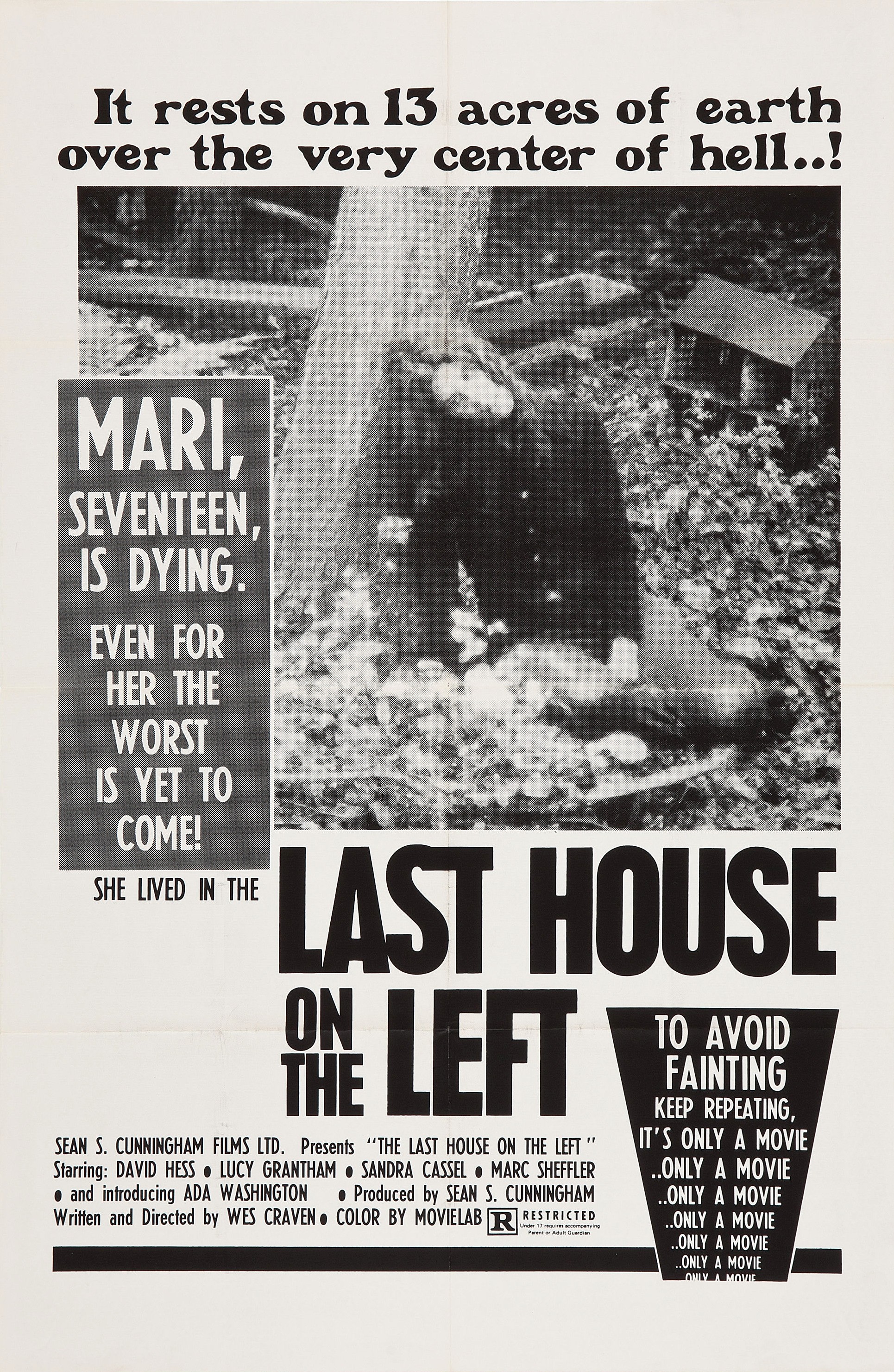 Mega Sized Movie Poster Image for The Last House on the Left 
